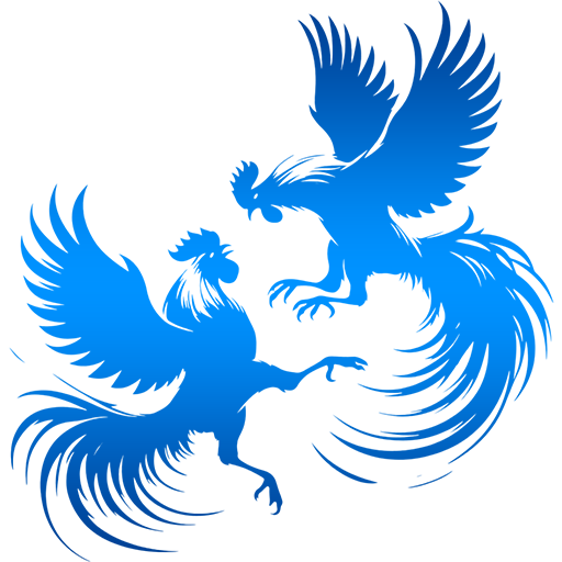 cock_fight